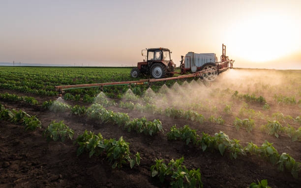 Pest Control Cost in Bee Cave, TX